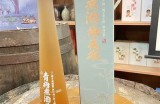 探索海角社区的魅力与活力——发现hjf70的独特风采与人文氛围