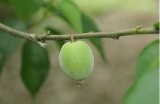 如何顺利加入海角社区成为一名合格的工作者？