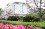 海角社区推出会员增值服务，享受更多专属优惠与体验