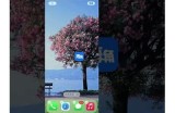 海角社区如何参与免费挖矿活动：详细指南与注意事项