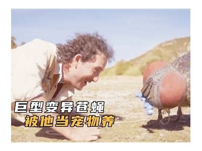 《免费观看小悟空电影的最佳平台推荐与观看方法》