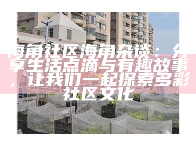 海角社区宫网络建设与发展研讨会开启新篇章