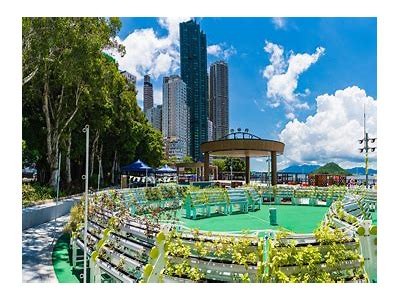 社区绿化如春意盎然，海角侄子的环保行动展现了美好家园。
