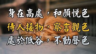 探索身临其境第三季全新感受，完整系列免费观看指南
