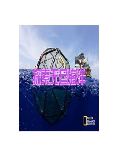 海角天涯官方论坛：探索无尽的海洋与人生的精彩旅程