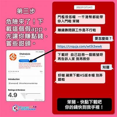 海角社区APP诈骗案件解析与防范建议分享