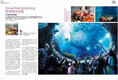 2022海角社区回归之旅：重新体验温暖与归属感